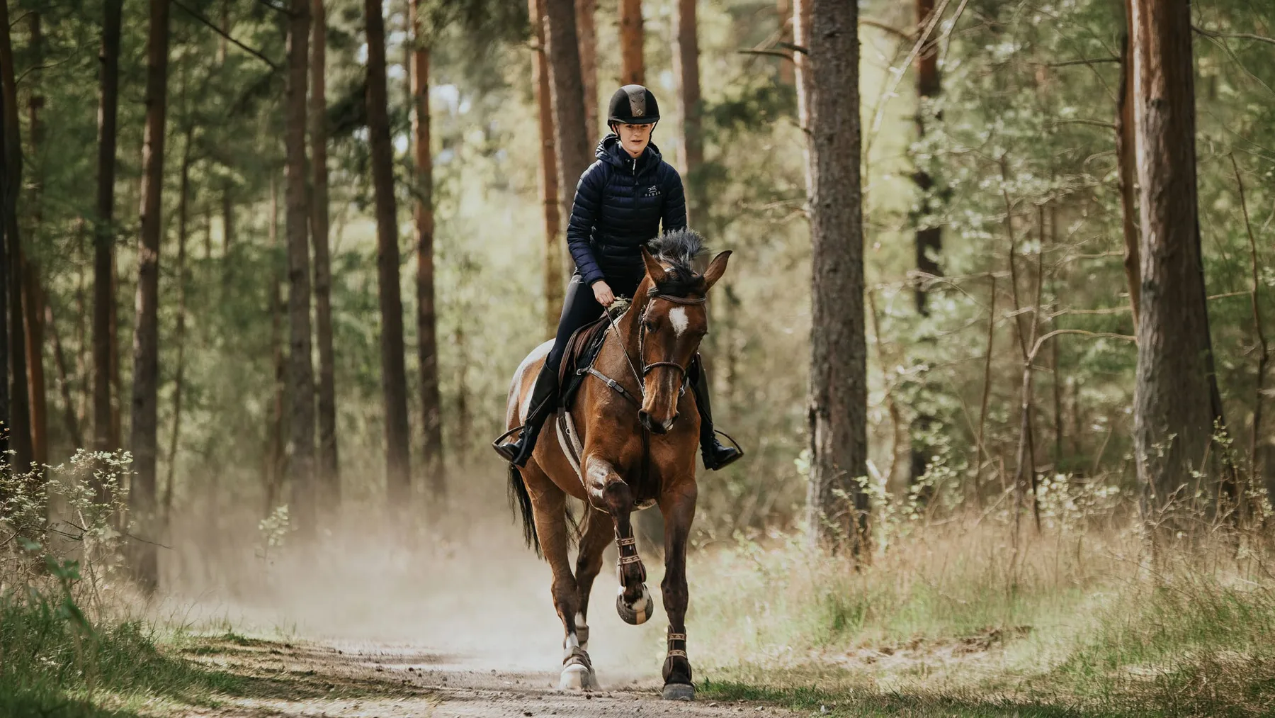 Horse riding near La Baronella