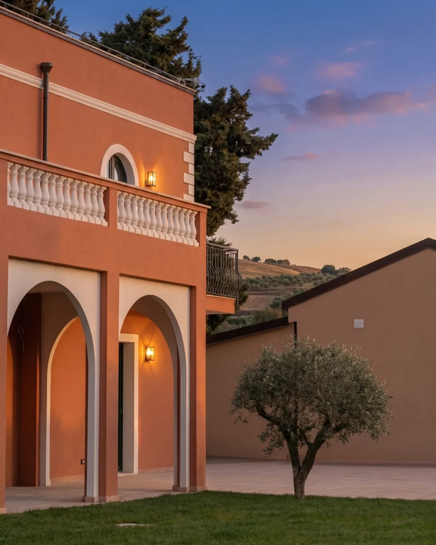 The villa among the olive trees at sunset